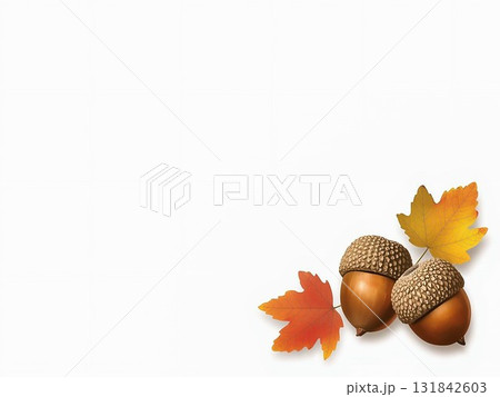 紅葉とどんぐりのイラスト 131842603