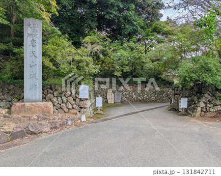 栃木県佐野市富士町の唐沢山城跡 くい違い虎口 栃木県佐野市富士町の唐沢山城跡 くい違い虎口 131842711