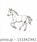 Black ink sketch of a cute hand-drawn horse, pony in western rodeo style. Isolated on white. 131842942