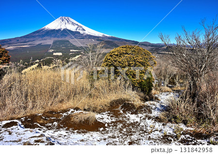愛鷹連峰の越前岳　馬ノ背見晴台から望む富士山 131842958