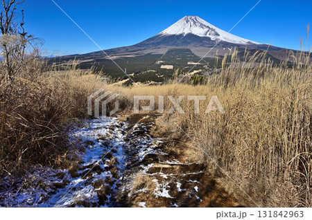 愛鷹連峰の越前岳から カヤトの登山道と富士山 愛鷹連峰の越前岳から カヤトの登山道と富士山 131842963