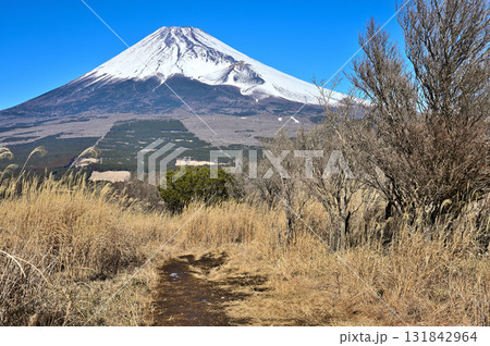 愛鷹連峰の越前岳から カヤトの登山道と富士山 愛鷹連峰の越前岳から カヤトの登山道と富士山 131842964