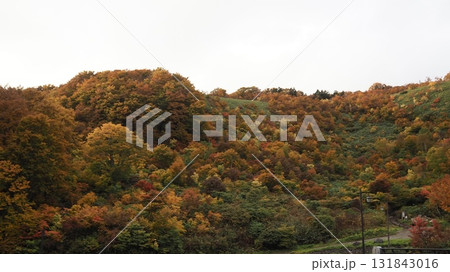 酸ヶ湯温泉～紅葉～ 131843016