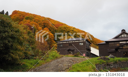 酸ヶ湯温泉～紅葉～ 131843018