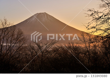 天子山地の長者ヶ岳　富士山展望台からの冬の朝日射す富士山 131843080