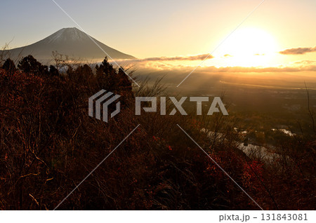 天子山地の長者ヶ岳の朝　富士山と朝日 131843081