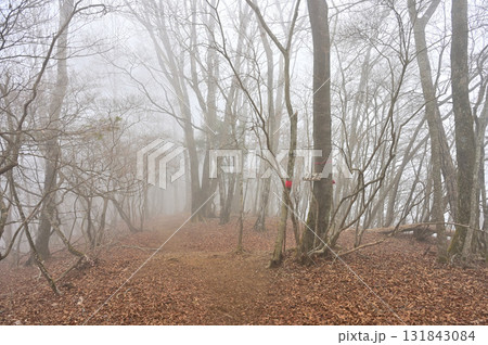 天子山地　天子ヶ岳山頂　山霧の頂 131843084