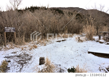 愛鷹山塊の越前岳　雪化粧した馬ノ背見晴台と越前岳 131843112