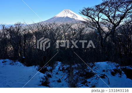 愛鷹山塊の越前岳 雪積もる平坦地から望む富士山 愛鷹山塊の越前岳 雪積もる平坦地から望む富士山 131843116