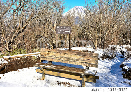 愛鷹山塊の越前岳山頂　雪上のベンチと森の向こうに聳える富士山 131843122