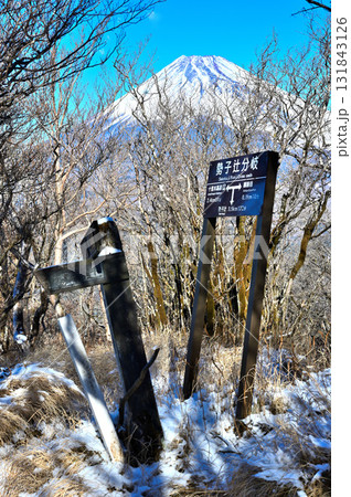 愛鷹連峰の越前岳　雪化粧の勢子辻分岐から眺める富士山 131843126