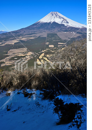 愛鷹連峰　雪化粧の越前岳より望む富士山 131843128