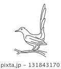 Vector design and line icon of magpie bird for elements and suitable for learning to color 131843170