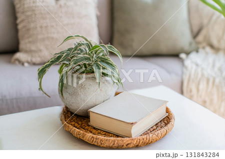 Cozy Living Space Cozy Living Space 131843284