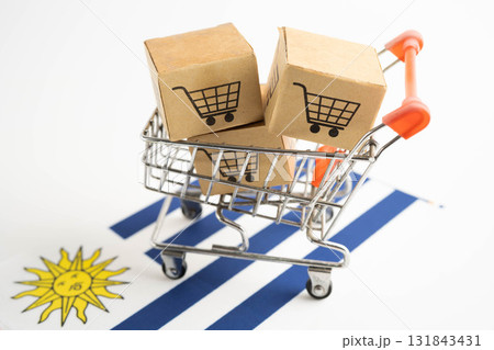 Online shopping, Shopping cart box on Uruguay flag, import export, finance commerce. Online shopping, Shopping cart box on Uruguay flag, import export, finance commerce. 131843431