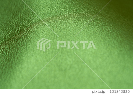 グリーンメタリックな皮革素材のイメージ 131843820