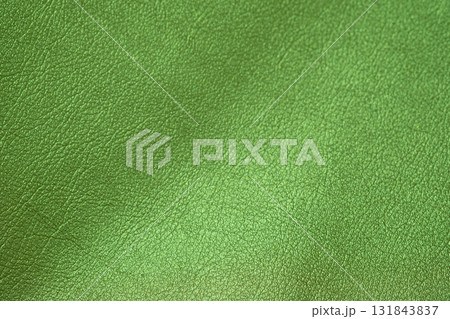 グリーンメタリックな皮革素材のイメージ グリーンメタリックな皮革素材のイメージ 131843837