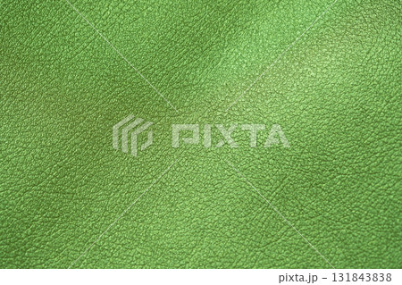 グリーンメタリックな皮革素材のイメージ 131843838