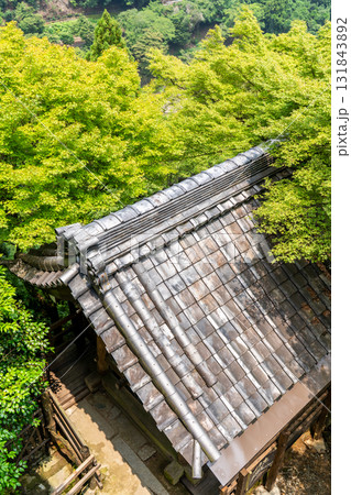 京都　嵐山　大悲閣千光寺　観音堂から鐘楼の瓦屋根と青モミジを見下ろす 131843892