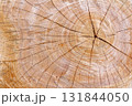 樹木伐採跡の木目アート 131844050