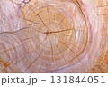 樹木伐採跡の木目アート 131844051