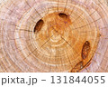樹木伐採跡の木目アート 131844055