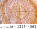 樹木伐採跡の木目アート 131844063