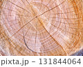 樹木伐採跡の木目アート 131844064