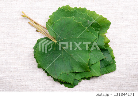 Fresh grape leaves, from above, on linen. Stacked green leaves of the common grape vine. Boiled grapevine leaves are commonly rolled or stuffed with a mixture of meat and rice to produce dolmades. Fresh grape leaves, from above, on linen. Stacked green leaves of the common grape vine. Boiled grapevine leaves are commonly rolled or stuffed with a mixture of meat and rice to produce dolmades. 131844171
