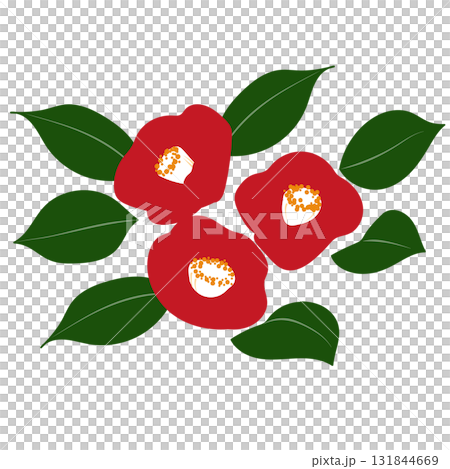 Red camellia flower and green leaves vector material | Camellia, flower, Japanese style, plant, red, vector Red camellia flower and green leaves vector material | Camellia, flower, Japanese style, plant, red, vector 131844669