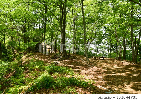 鏡山城71 2郭 131844785