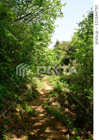鏡山城65 登山道 131844791