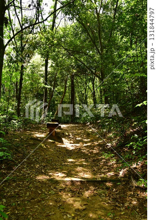 鏡山城59 登山道 131844797