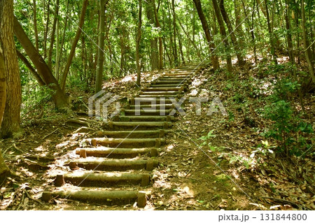 鏡山城56 登山道 鏡山城56 登山道 131844800