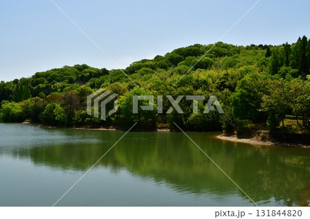 鏡山城72 城山遠景 鏡山城72 城山遠景 131844820