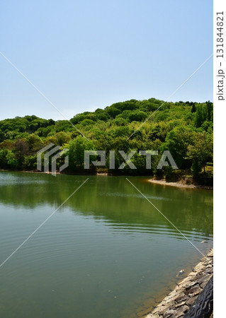 鏡山城83 城山遠景 鏡山城83 城山遠景 131844821