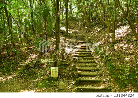 鏡山城80 登山道 鏡山城80 登山道 131844824