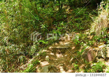 鏡山城20 竪堀 鏡山城20 竪堀 131844837