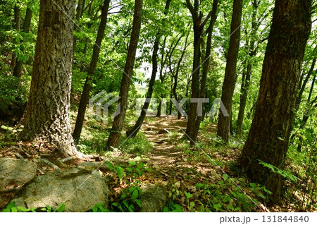 鏡山城17 登山道 131844840