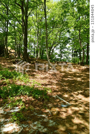 鏡山城12 2郭 鏡山城12 2郭 131844845