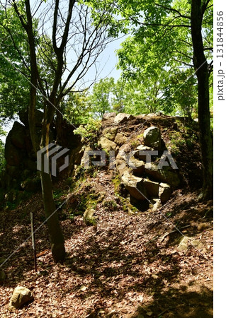 鏡山城13 1郭の石垣 131844856