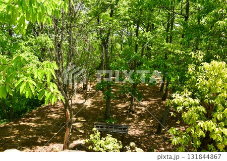 鏡山城25 1郭から望む2郭 131844867