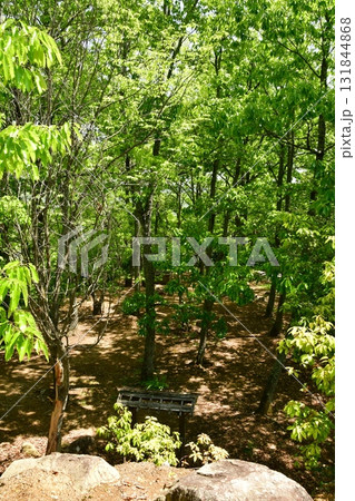 鏡山城36 1郭から望む2郭 131844868