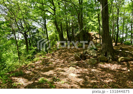 鏡山城29 1郭から望む2郭 131844875