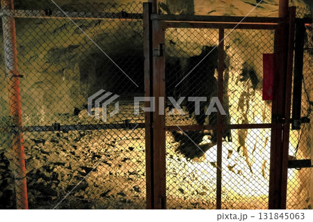 松代大本営跡 131845063