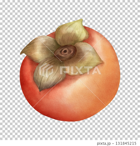 Watercolor illustration of a persimmon fruit  131845215