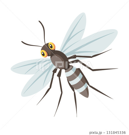 Detailed mosquito on a white background. Insect illustration. Detailed mosquito on a white background. Insect illustration. 131845336