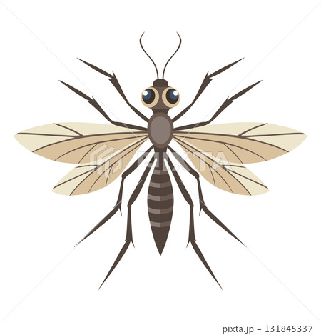 Detailed mosquito on a white background. Insect illustration. Detailed mosquito on a white background. Insect illustration. 131845337