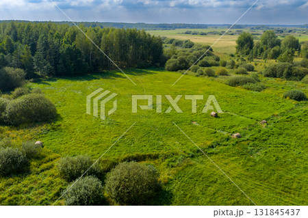 Partly abandoned meadows in autumn 131845437