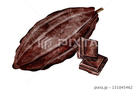 Cocoa bean and a piece of chocolate watercolor. Hand-drawn cocoa fruit on a white background. Food clip art. Ideal for packaging chocolate and cocoa powder. 131845462